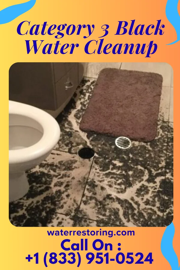 Category 3 Black Water Cleanup in Mount Moriah, MO